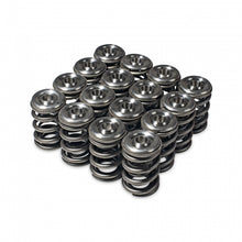 Load image into Gallery viewer, Skunk2 Alpha Series Honda/Acura H Series Valve Spring and Titanium Retainer Kit Valve Springs, Retainers Skunk2 Racing
