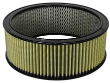Load image into Gallery viewer, aFe MagnumFLOW Air Filters Round Racing PG7 A/F RR PG7 14OD x 12ID x 5H IN with E/M Air Filters - Universal Fit aFe
