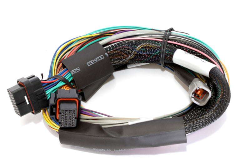 Haltech Elite 1500 8ft Basic Universal Wire-In Harness (Excl Relays or Fuses) Wiring Harnesses Haltech