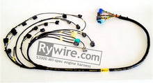Load image into Gallery viewer, Rywire Honda S2000 AP1/AP2 (Early) Mil-Spec Engine Harness w/OEM Coils/Injector/ECU Plugs Wiring Harnesses Rywire
