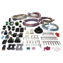 Load image into Gallery viewer, FAST Wiring Harness FAST XFI Wiring Harnesses FAST
