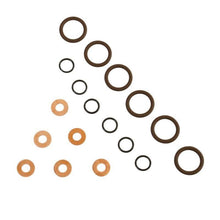 Load image into Gallery viewer, BD Diesel ISB Injector Seal Kit - Dodge 1998.5-2002 5.9L 24-valve Injection Pump Components BD Diesel
