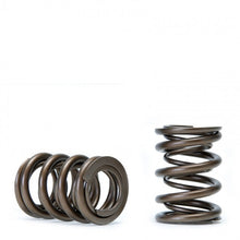 Load image into Gallery viewer, Skunk2 Tuner Series Honda/Acura (H22A/F20B) DOHC VTEC Alpha Valve Spring Set (Dual Springs) Valve Springs, Retainers Skunk2 Racing
