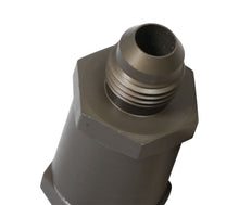 Load image into Gallery viewer, Earl's Performance ds_CFRL_253006ERL Earl's Performance 253006ERL UltraPro In-Line One-Way Check Valve

