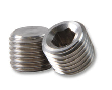 Load image into Gallery viewer, Earl's Performance ds_CFRL_SS593204ERL Earl's Performance SS593204ERL Stainless Steel NPT Plug
