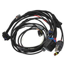 Load image into Gallery viewer, Edelbrock EDE36110 Edelbrock 11-14 Ford Coyote DBW VCC Pro-Flo 4+ EFI Fuel Injection Kit
