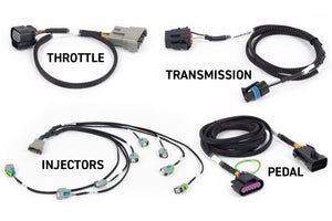 Haltech NEXUS Rebel LS Kit (Suits Gen IV) 6-Pin DBW Throttle/EV6 Injectors/Manual Transmission Programmers & Tuners Haltech   
