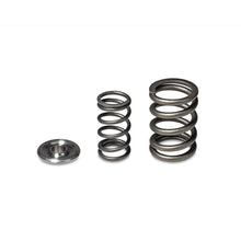 Load image into Gallery viewer, Skunk2 Alpha Series Honda/Acura H Series Valve Spring and Titanium Retainer Kit Valve Springs, Retainers Skunk2 Racing
