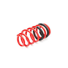Load image into Gallery viewer, Eibach EIB4.9528 Eibach Sportline Kit for 08-21 Dodge Challenger

