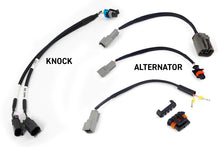 Load image into Gallery viewer, Haltech NEXUS Rebel LS Kit (Suits Gen III) Cable Throttle/EV1 Injectors/Manual Transmission Programmers &amp; Tuners Haltech   
