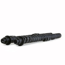 Load image into Gallery viewer, Skunk2 Ultra Series Honda/Acura K20A/K20A2/K20Z1/K20Z3/K24A2 DOHC i-VTEC Drop In D1 Camshafts Camshafts Skunk2 Racing

