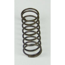 Load image into Gallery viewer, BD Diesel Flow-MaX Pump Pressure Spring - 18psi Fuel Pumps BD Diesel
