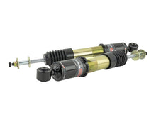 Load image into Gallery viewer, Skunk2 06-11 Honda Civic Si Pro ST Coilovers Coilovers Skunk2 Racing
