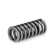 Load image into Gallery viewer, Skunk2 Alpha Series Honda D Series VTEC Valve Spring Set Valve Springs, Retainers Skunk2 Racing
