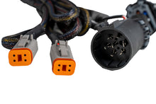 Load image into Gallery viewer, Diode Dynamics Stage Series C1R 7-pin Dual-Output Trailer Wiring Harness Light Accessories and Wiring Diode Dynamics   
