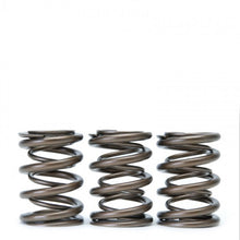 Load image into Gallery viewer, Skunk2 Tuner Series Honda/Acura (B16A/ B17A/ B18C) DOHC VTEC Alpha Valve Spring Set (Dual Springs) Valve Springs, Retainers Skunk2 Racing
