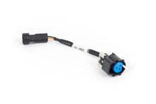 Load image into Gallery viewer, Haltech NEXUS Rebel LS Gen IV Oil Pressure Sensor Adaptor Harness (Plug-n-Play w/HT-186500) Wiring Harnesses Haltech   
