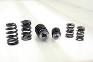 Ferrea S10062 Ferrea Racing Components - Volkswagen 2.8L VR6 12V - Dual Valve Springs