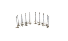 Load image into Gallery viewer, Ferrea 20558 Ferrea Super Alloy Intake/Exhaust 1mm Oversized Valve Kit - MK7
