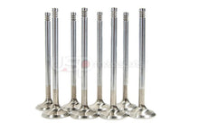 Load image into Gallery viewer, Ferrea FE-RS3-SSVK Ferrea Super Alloy Intake/Exhaust Valve Kit For Audi RS3 (8V)/TTRS (8S)
