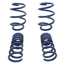 Load image into Gallery viewer, Ford Racing FRPM-5300-W Ford Racing 2015-2017 Mustang GT350 Lowering Springs
