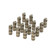 Load image into Gallery viewer, Ford Racing FRPM-6500-R302 Ford Racing 302/351W Hydraulic Roller Cam Lifters (Set of 16)
