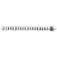 Ford Racing FRPM-6250-X303 Ford Racing Small Block V-8 Hydraulic Roller Tappet Camshafts