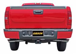 Gibson gib5005 Gibson 99-01 Chevrolet Silverado 1500 Base 4.3L 2.5in Cat-Back Dual Extreme Exhaust - Aluminized