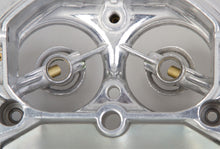 Load image into Gallery viewer, Demon Fuel Systems 1900 Street Demon® Carburetor Carburetor Demon Fuel Systems   
